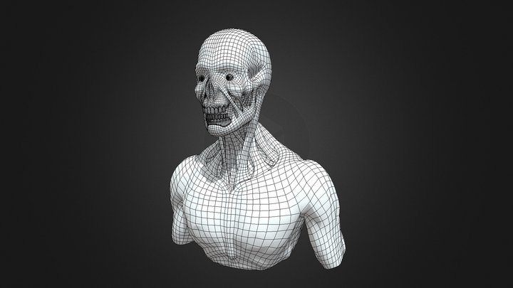 Wireframe 3D Model