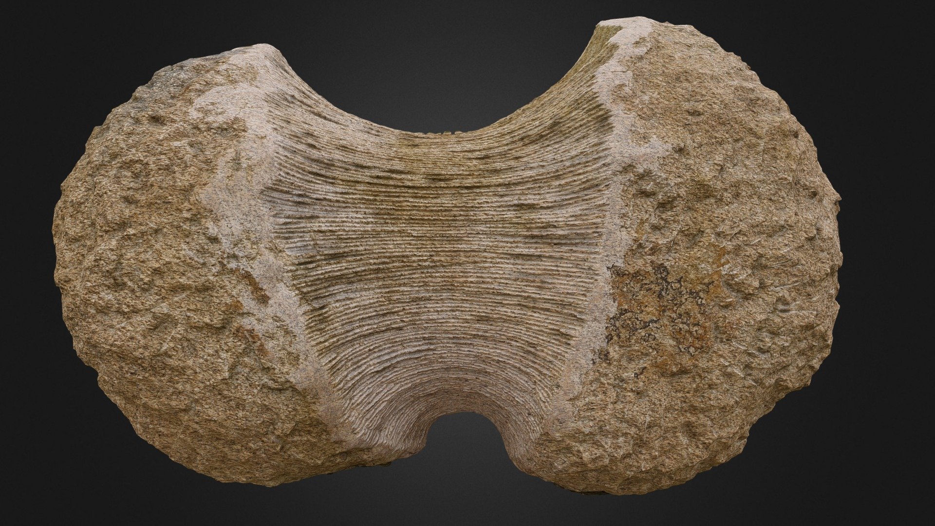 Sculpture 1
