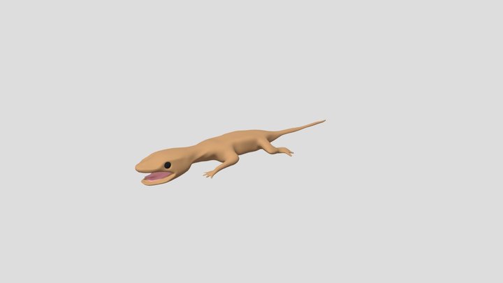 UPDATED House Gecko 3D Model