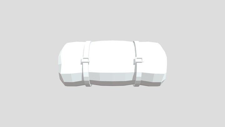 SLEEP BAG 3D Model