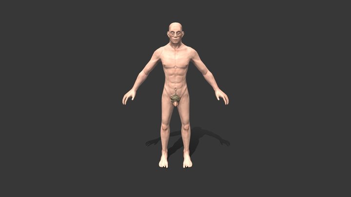Human zBrush and Substance Painter Test 3D Model