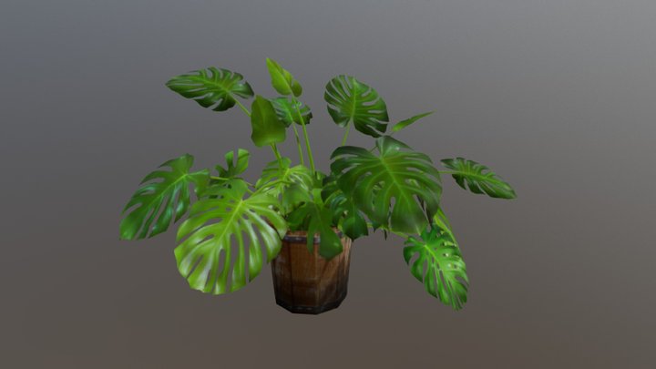 houseplant 3D Model