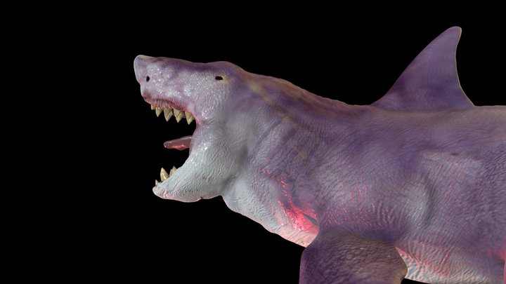 Megalodon shark 3D Model