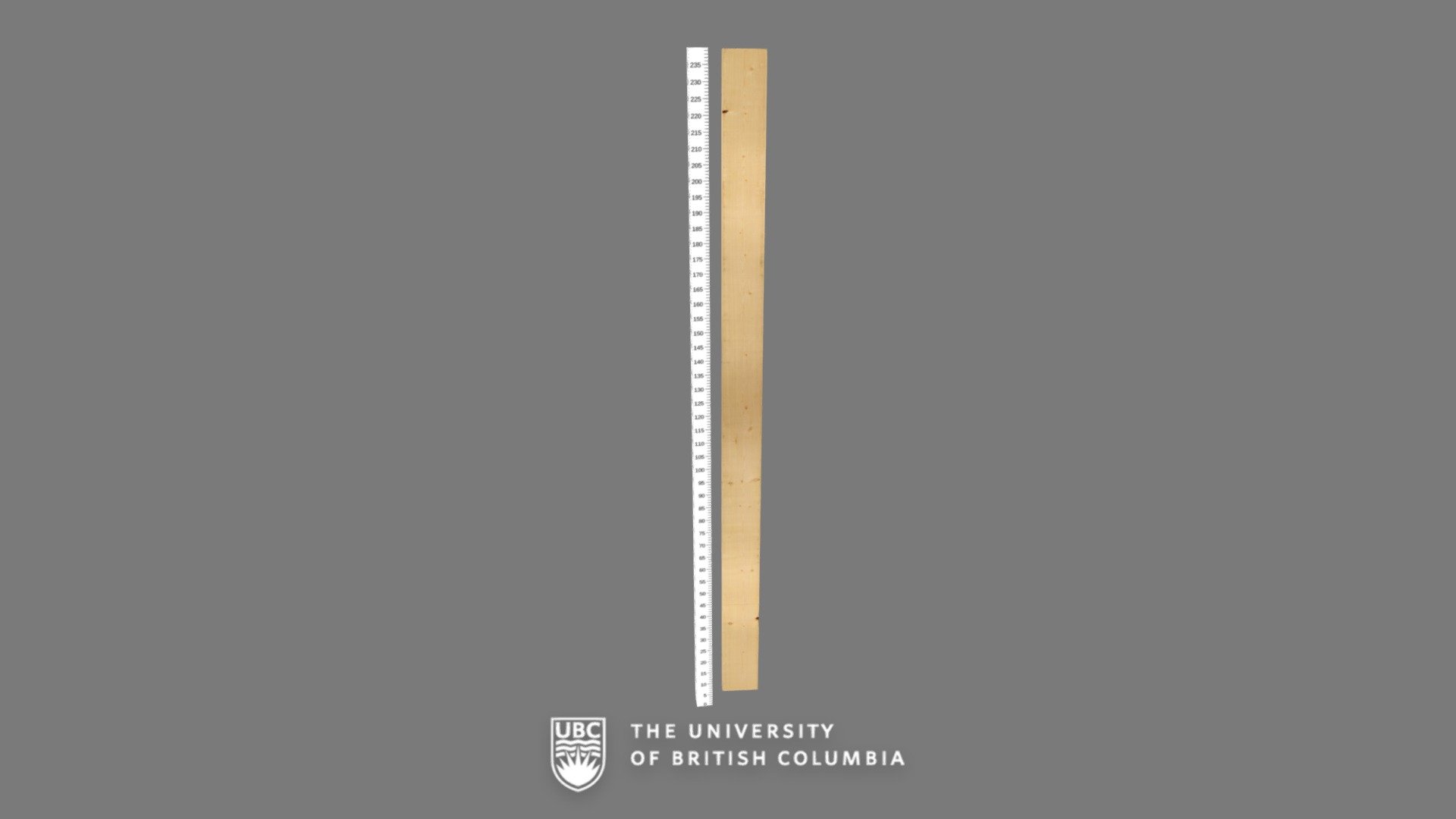 6-BP