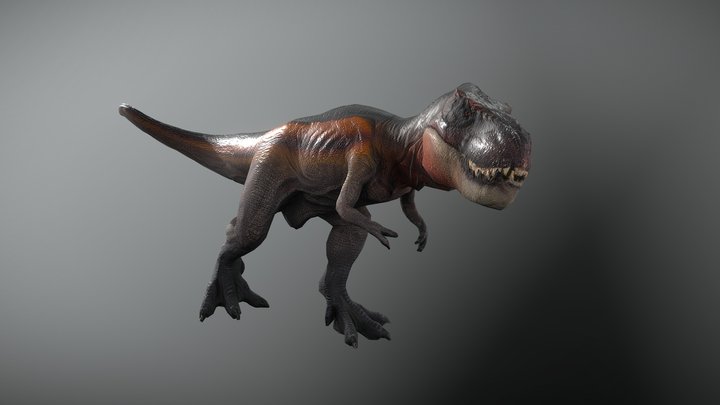 Photogrammetry Rex 3D Model