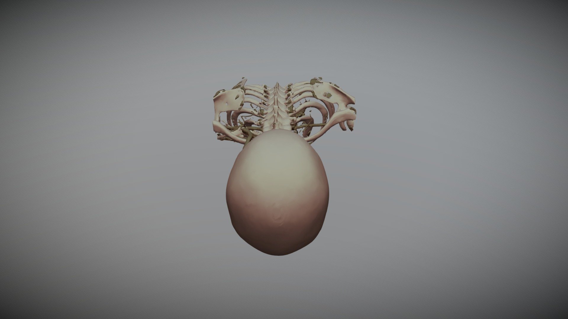 AVM2 - 3D model by olegkowlenski [cce6ae9] - Sketchfab
