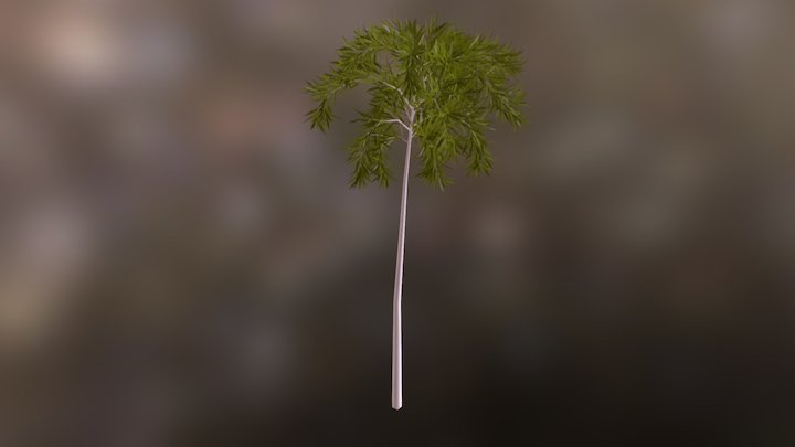 Jukkapalmu 3D Model
