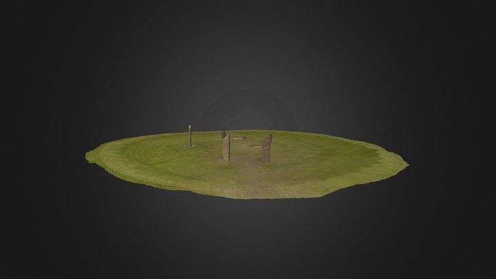 Stones of Stenness 3D Model