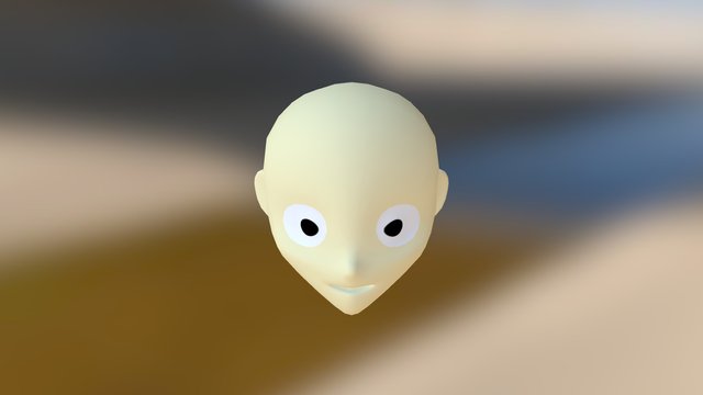Head 3D Model