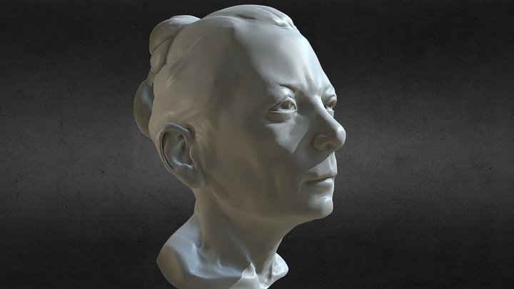 Realistic Female Head - Anatomy and Facial study 3D Model