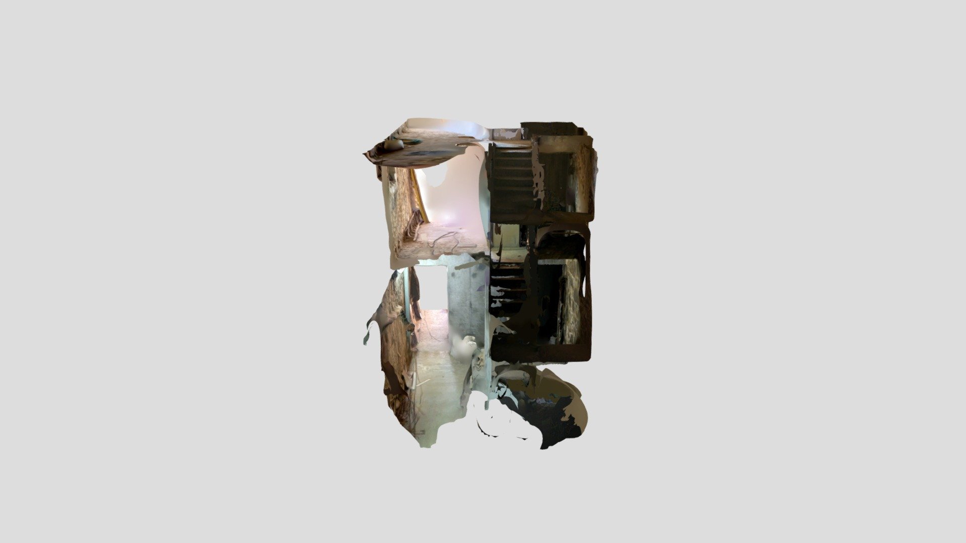 Polycam capture