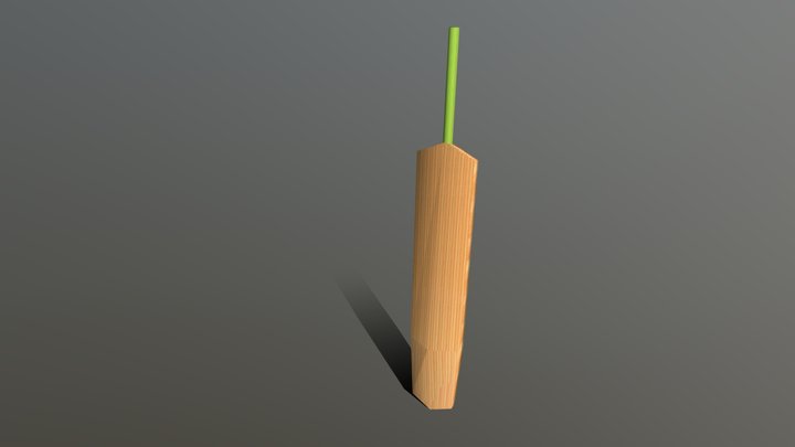 Cricket Bat