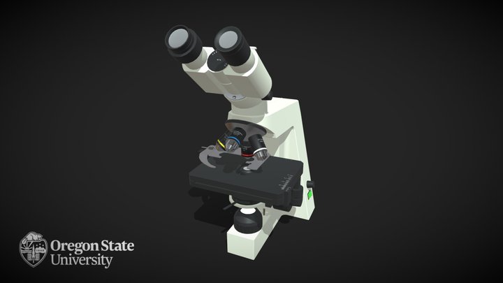 Compound Microscope