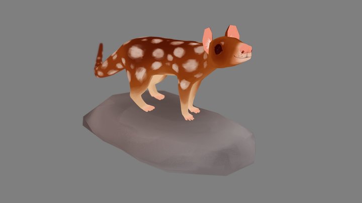 tiger quoll 3D Model