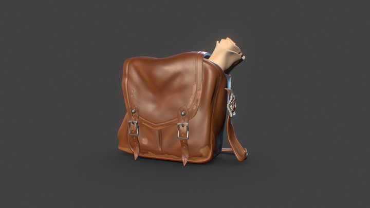 DS - Asset 5 - Bag 3D Model