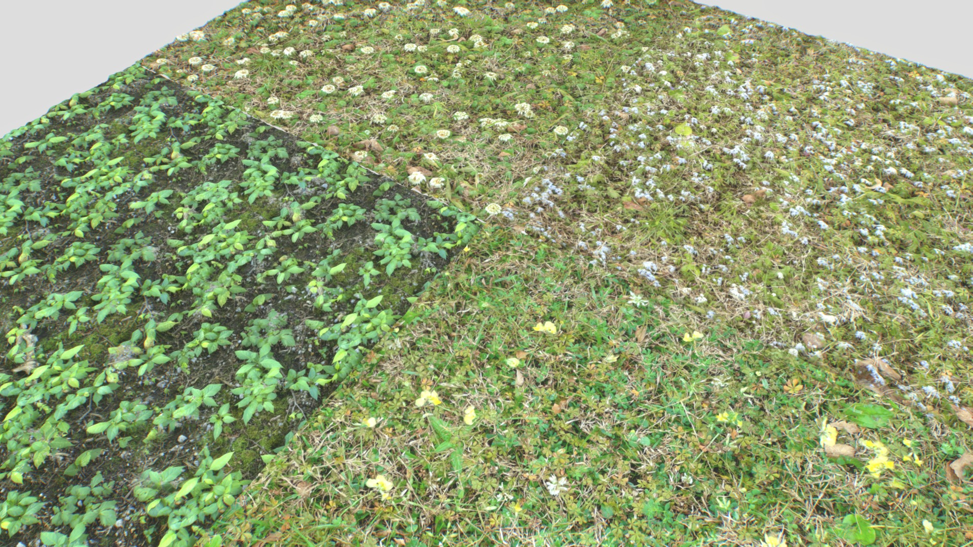 3D model Forest ground PBR Pack 9 Textures