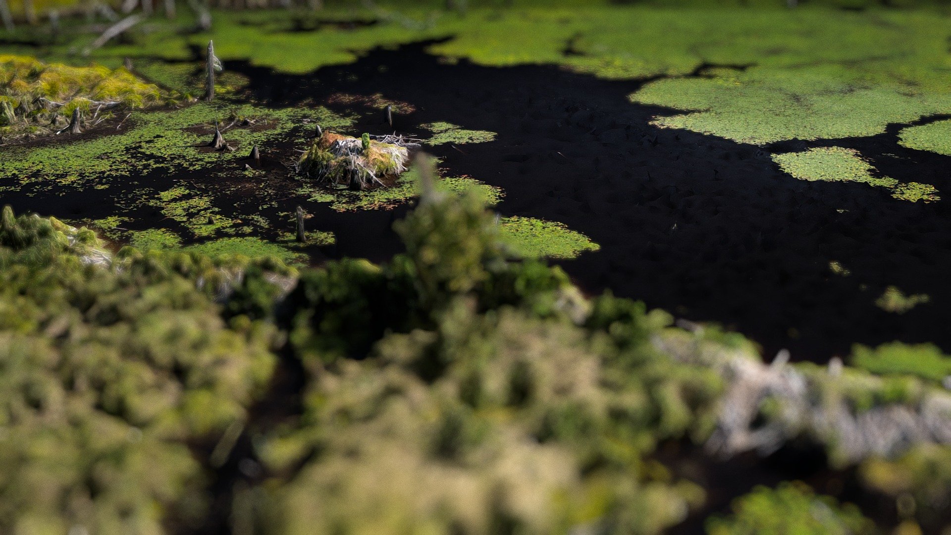 Canadian Beaver Dam and Den - Wetlands - Download Free 3D model by Air ...