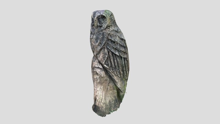 Westerham Owl 3D Model