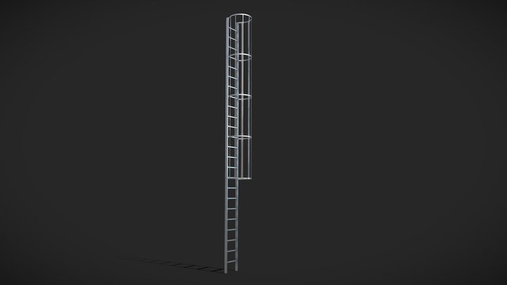 Exterior Metal Ladder (Low & High poly) 3D Model