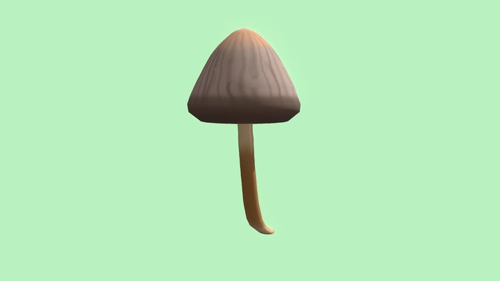 Hongo Cafe 3D Model