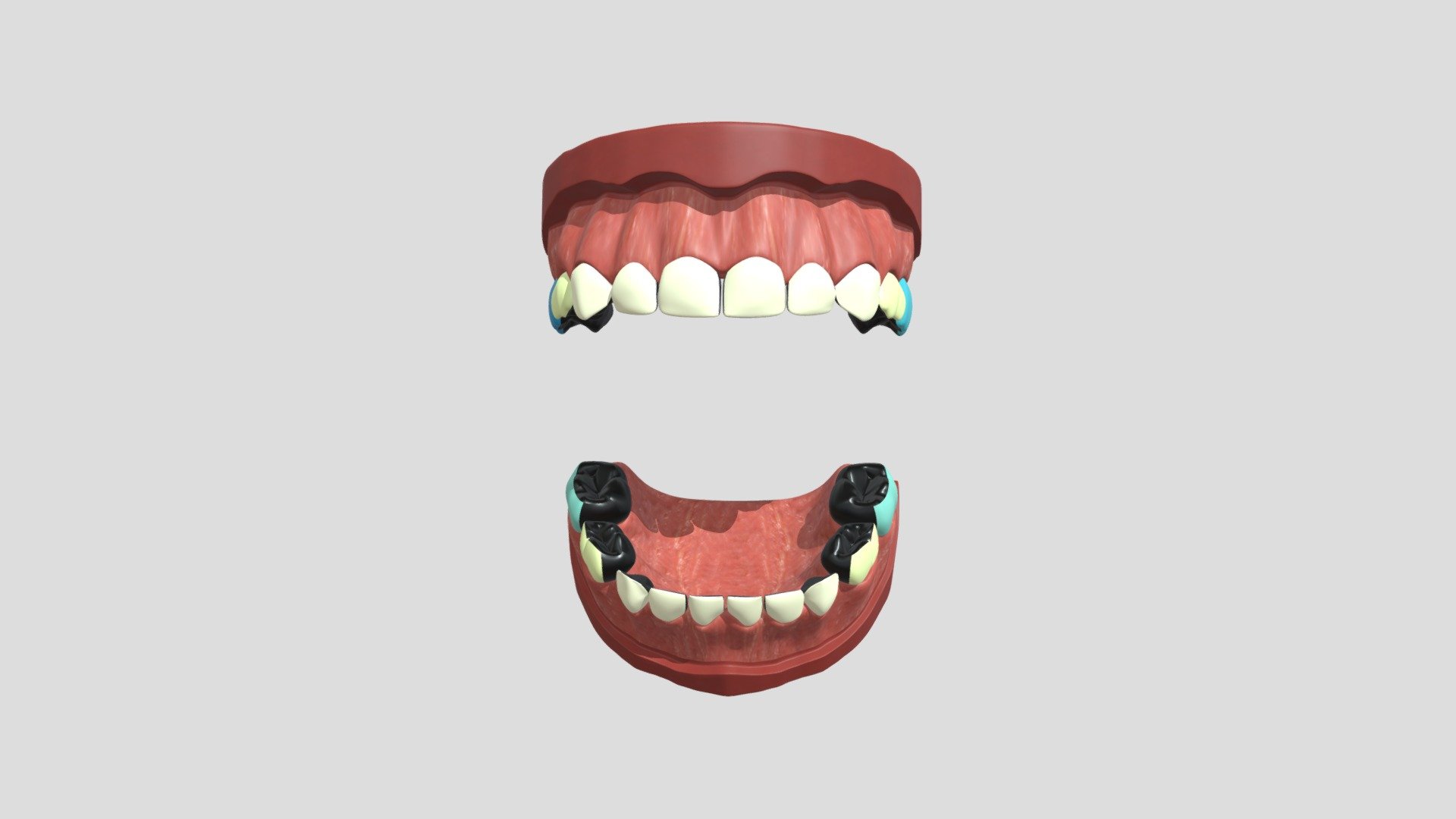 dde_nzunrestored_6cm_2c