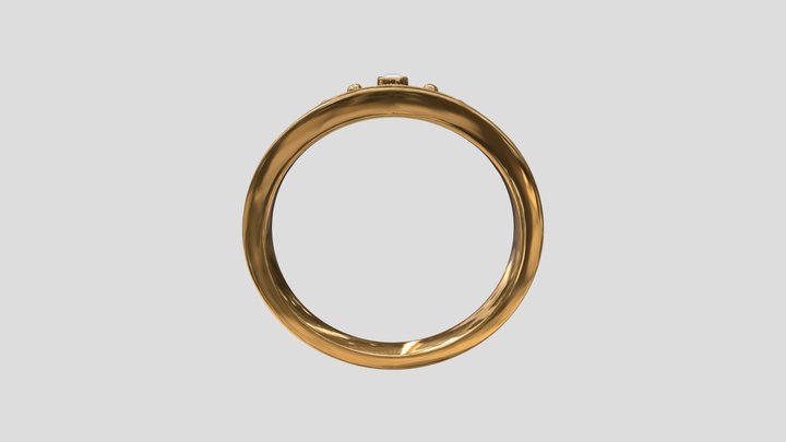 ring1 3D Model