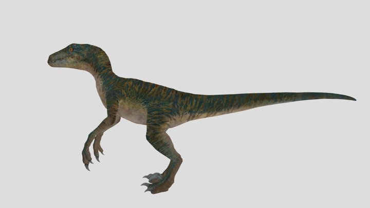Echo The Velociraptor – Modello 3D gratuito STL