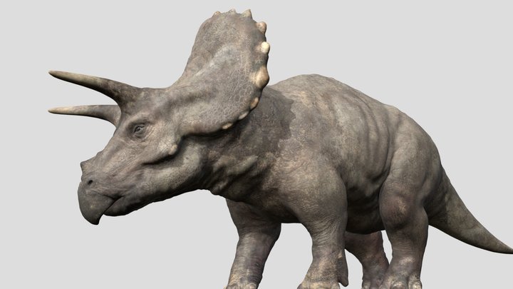 Amazing Dinoworld 2 Triceratops