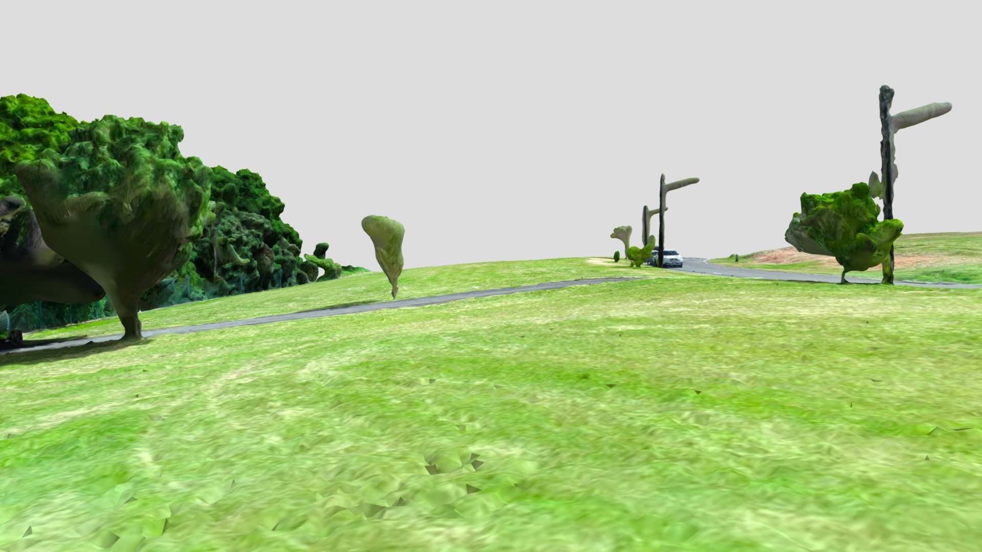 Terreno_08