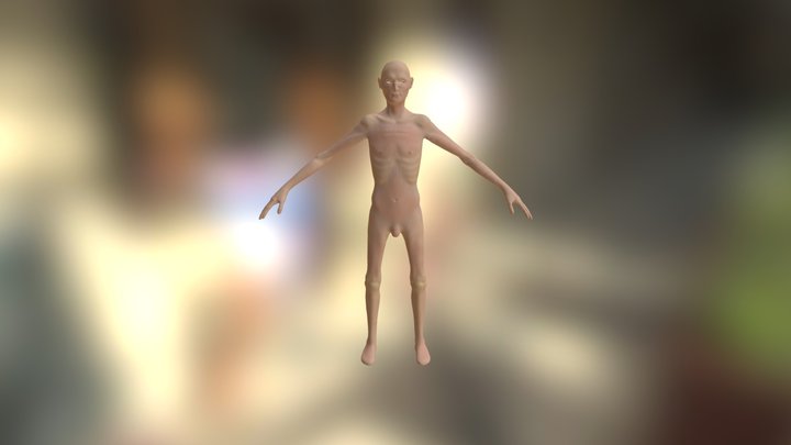 Skinny Male Anatomy Sculpt 3D Model