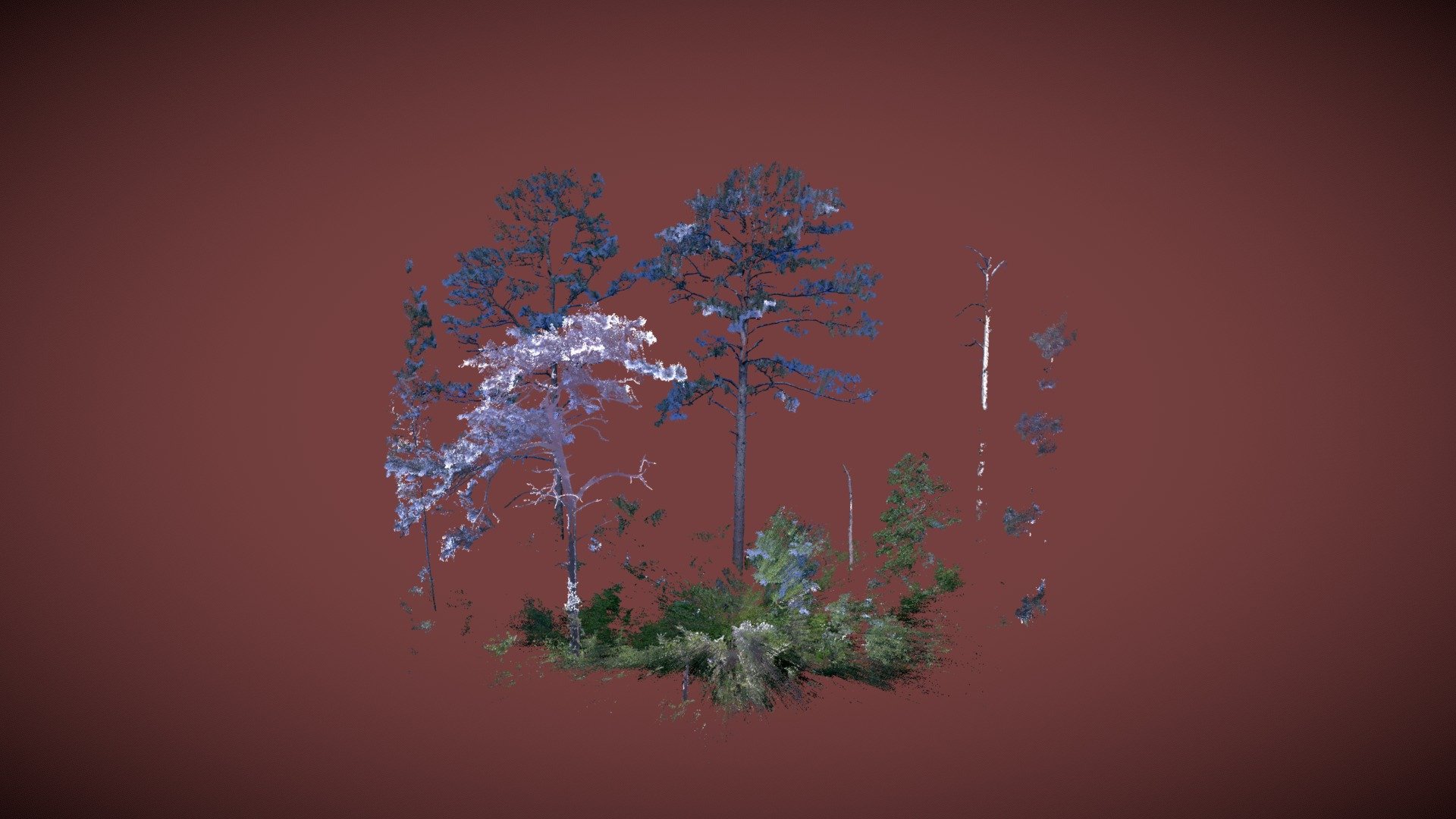 FSMR00900621 Cropped