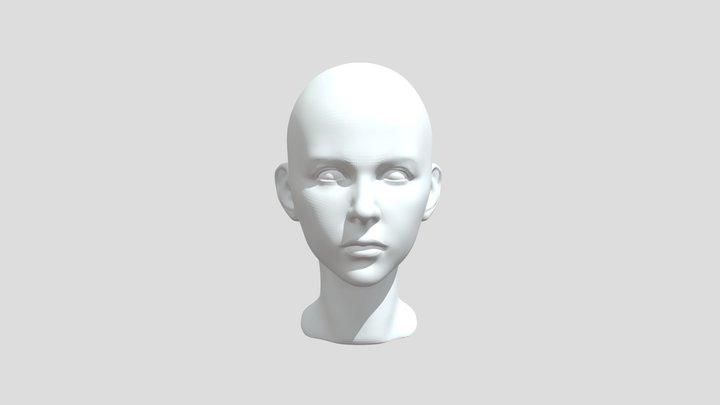 1 3D Model