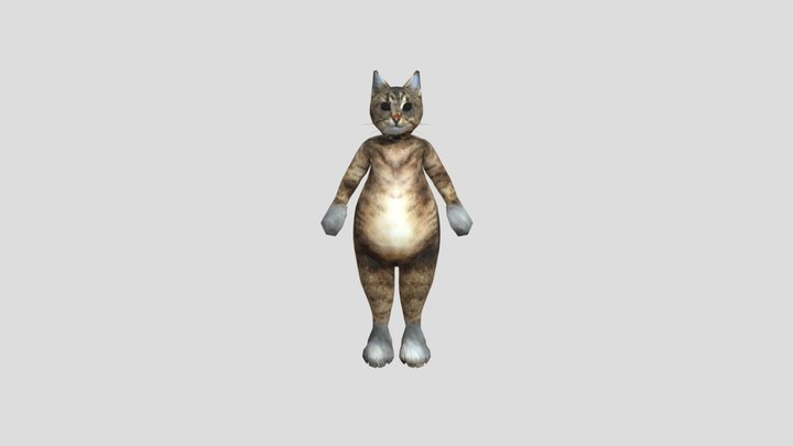 cat 1 3D Model