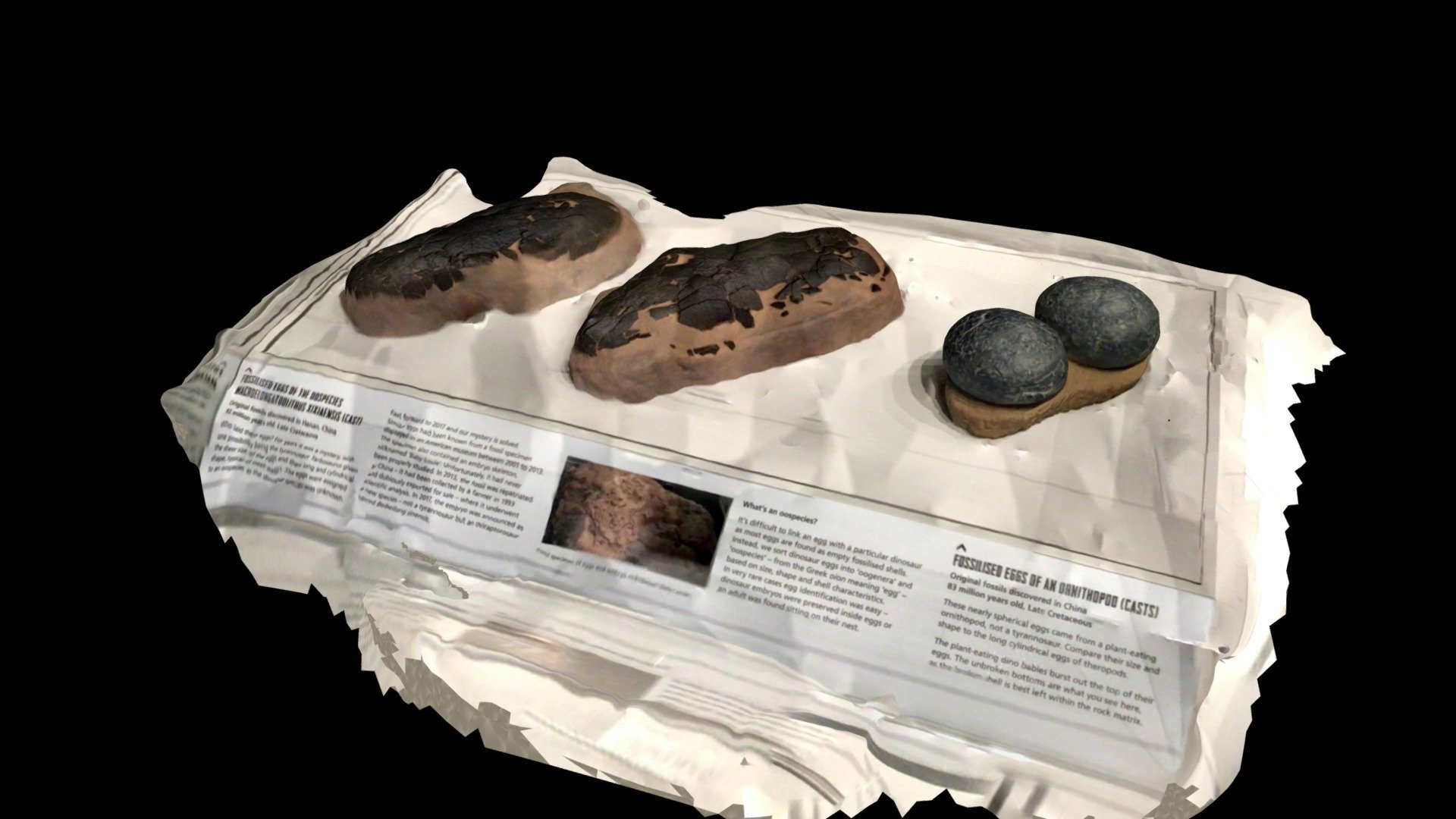 Dinosaur eggs