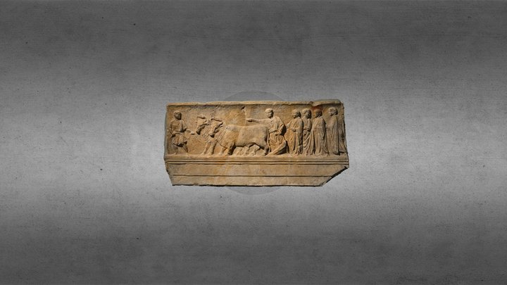 Sulcus Primigenius, Aquileia (UD), Italy 3D Model