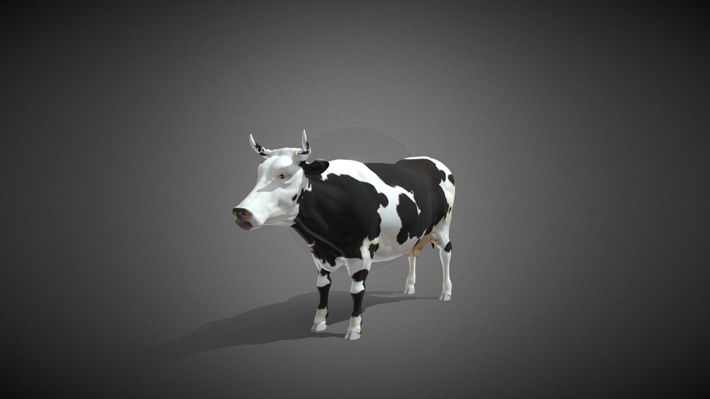 Cow