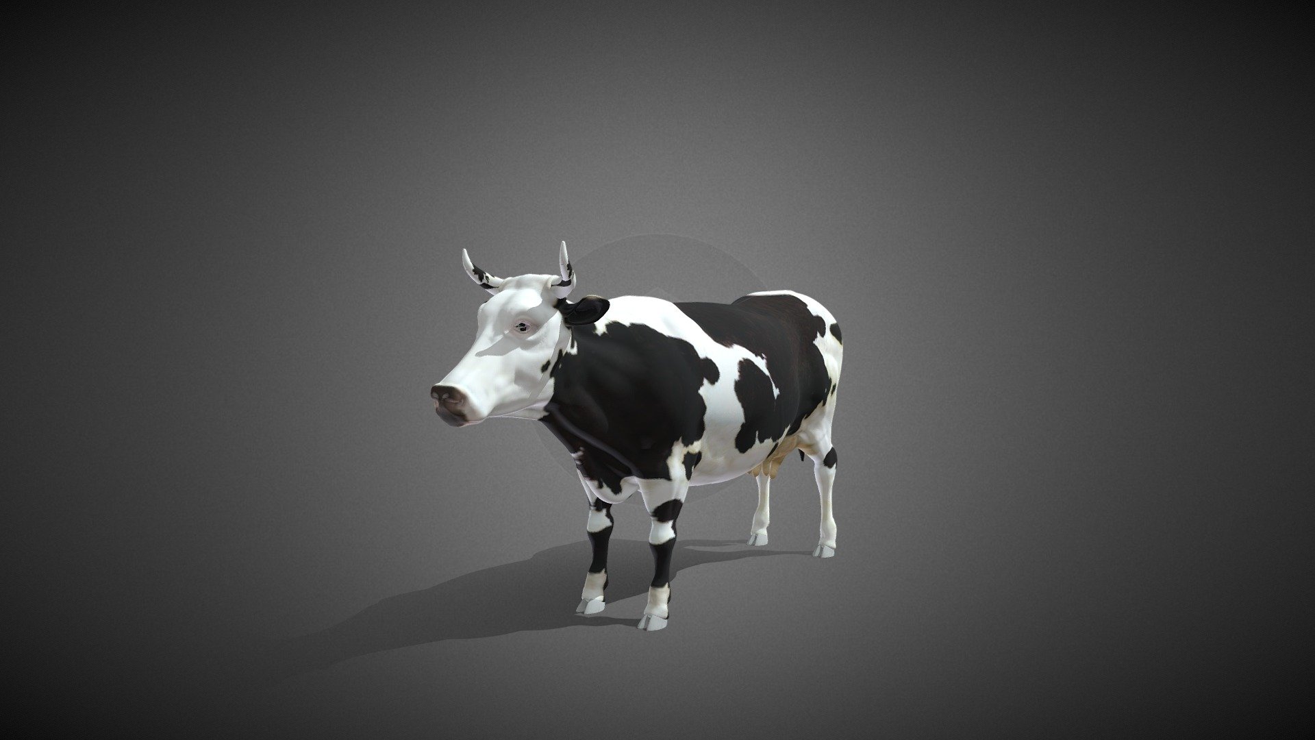 Cow - Download Free 3D model by Stephengury [cd0d161] - Sketchfab