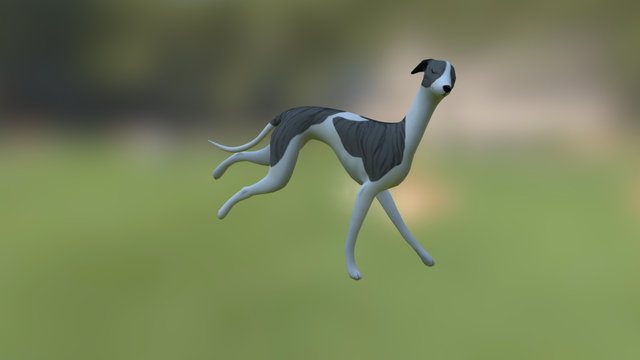Running Greyhound 3D Model