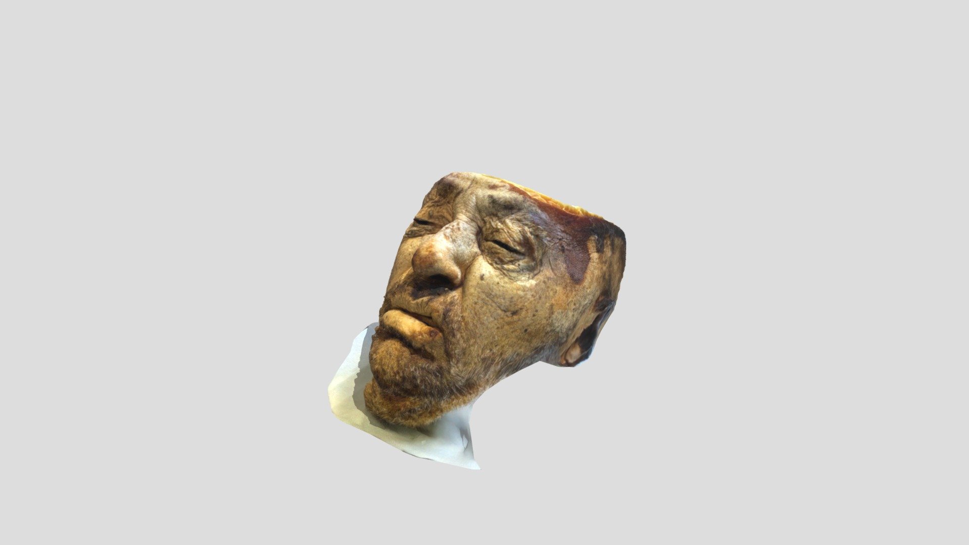 Горизонтальный срез головы - 3D model by h9261099170 [cd0e8fc] - Sketchfab