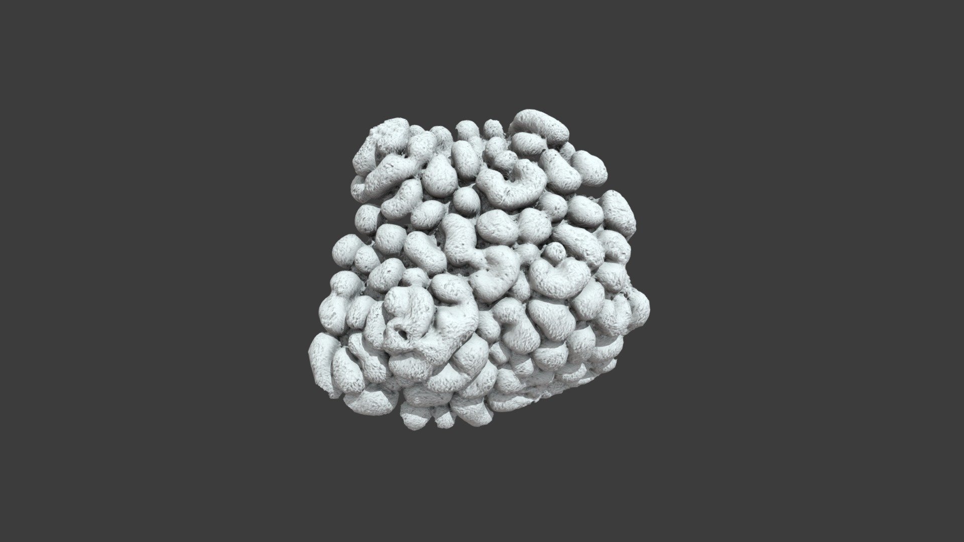 Montipora danae: Detail View