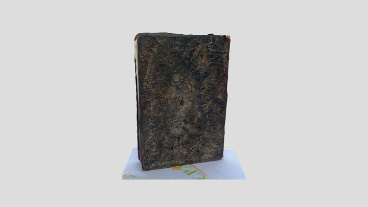 Necronomicon Scan 2 3D Model