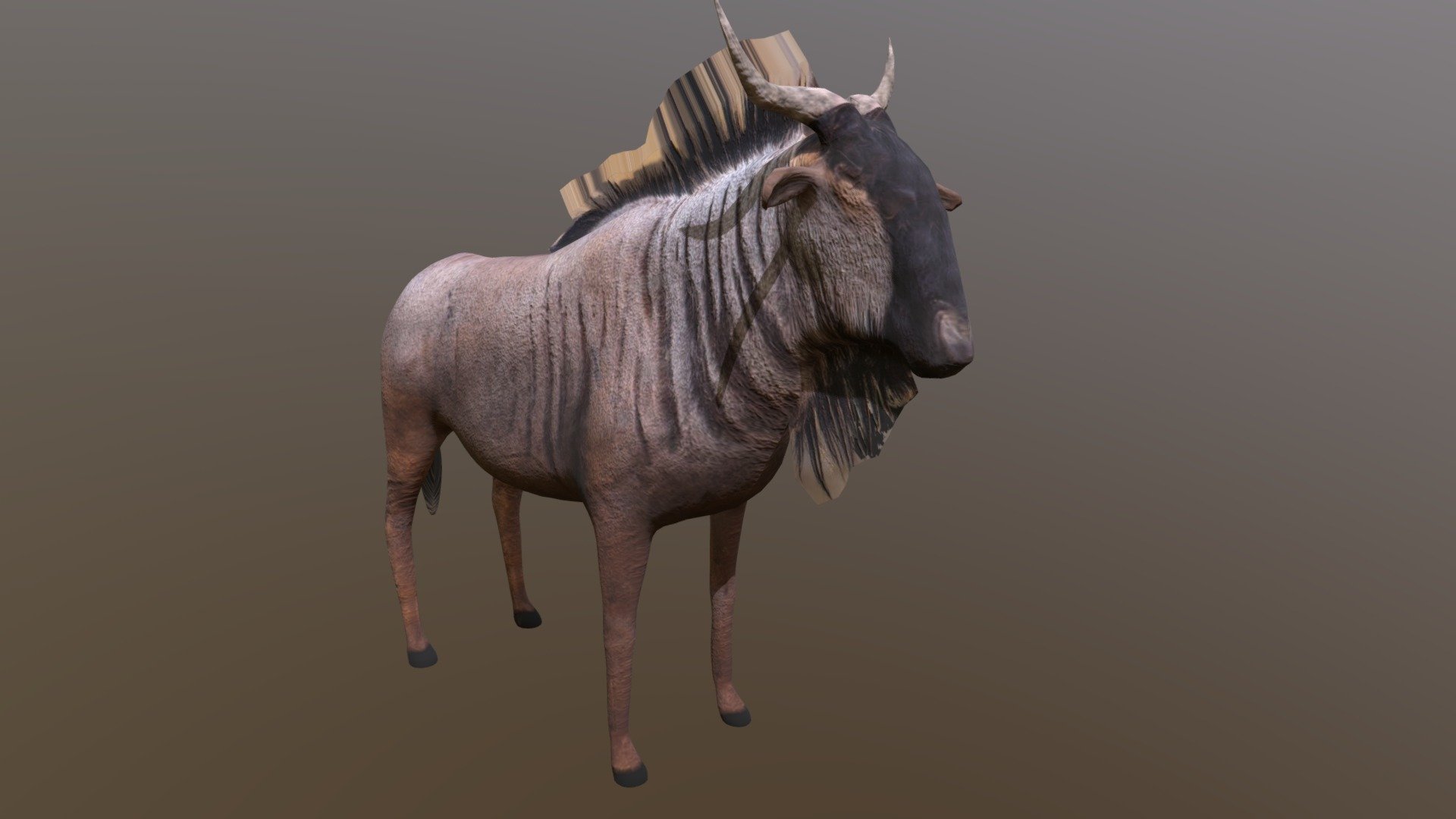 Wildebeest Gnu - Buy Royalty Free 3D model by 3dlowpoly [cd17a9c ...