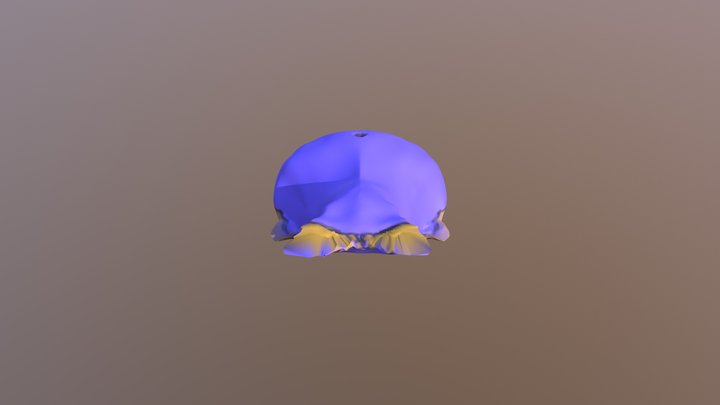 Whalinator - my first sculpt ever 3D Model