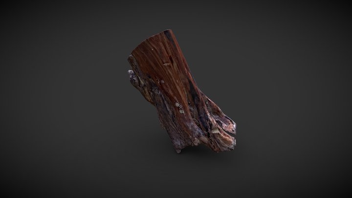 Merge_02 pc_tex 3D Model