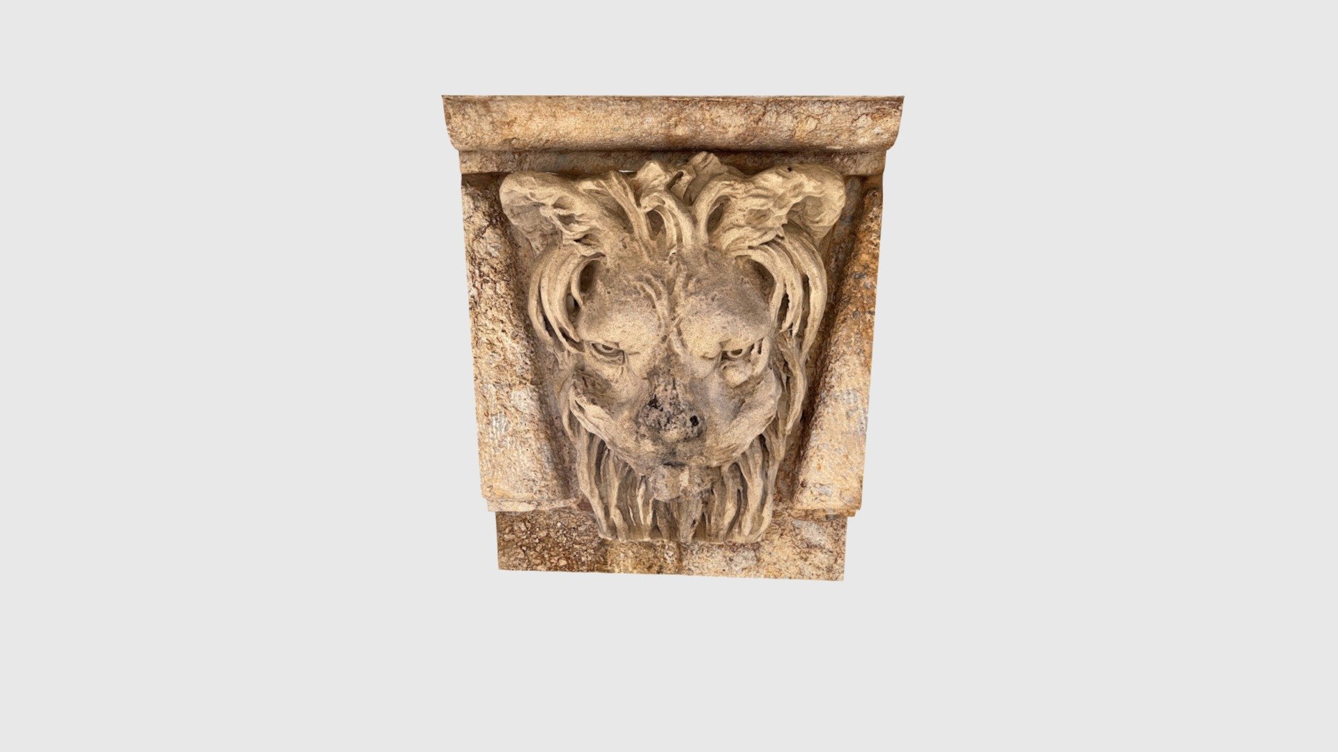 Lion Clusone