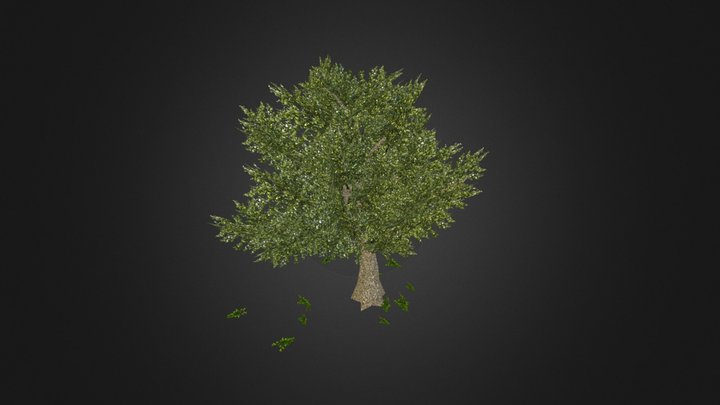 3D1_Vegitation_Tree 3D Model