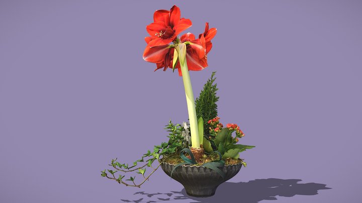 Amaryllis – Modello 3D gratuito STL