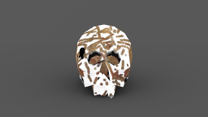 Skull 3D Model