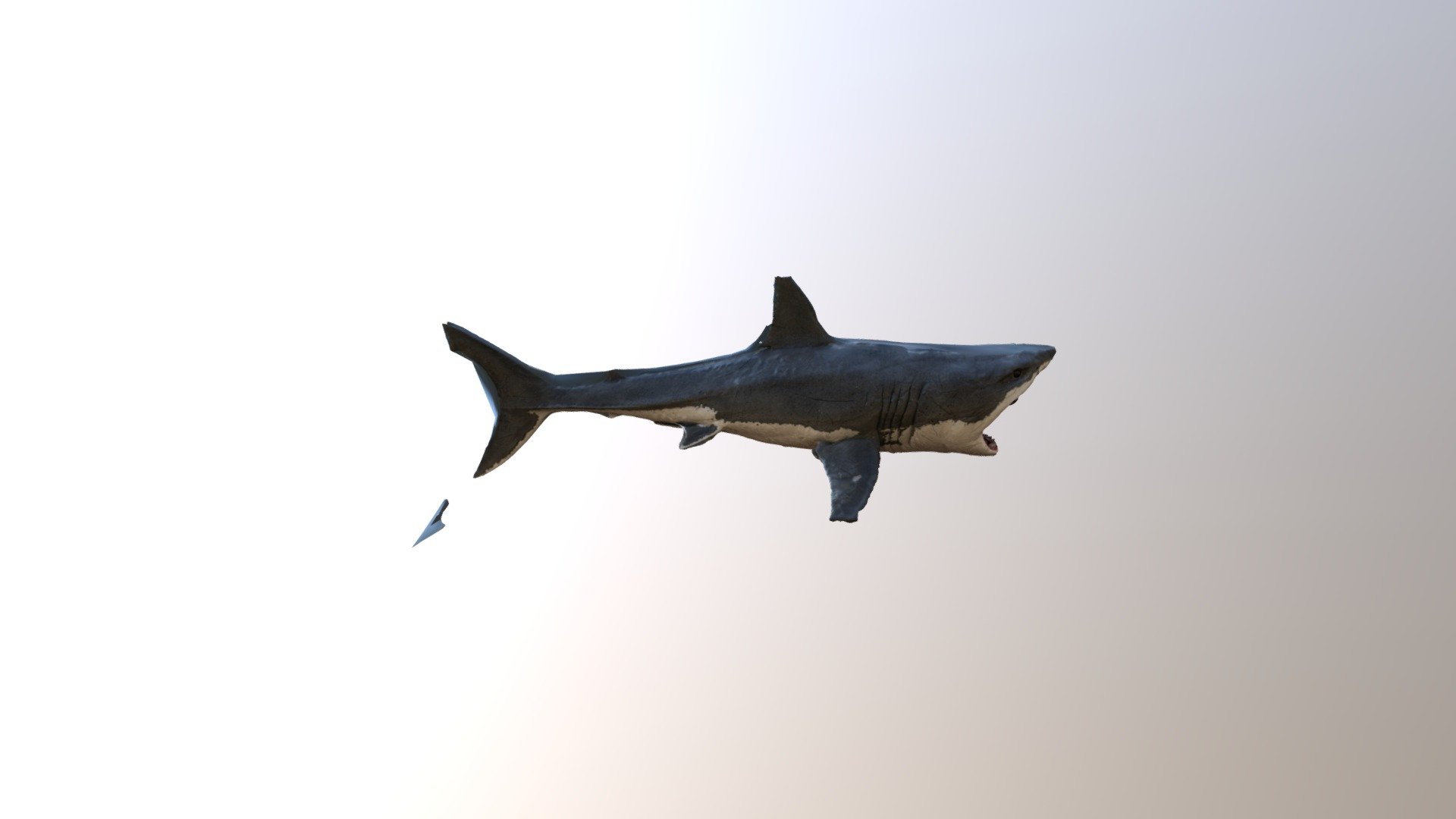 sharkNew project — Sketchfab embed 3D viewer