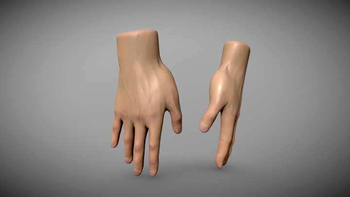 Hands for VR game 3D Model